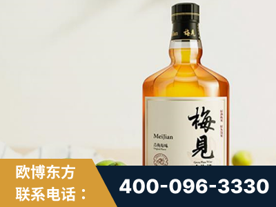 安丘-梅见青梅酒